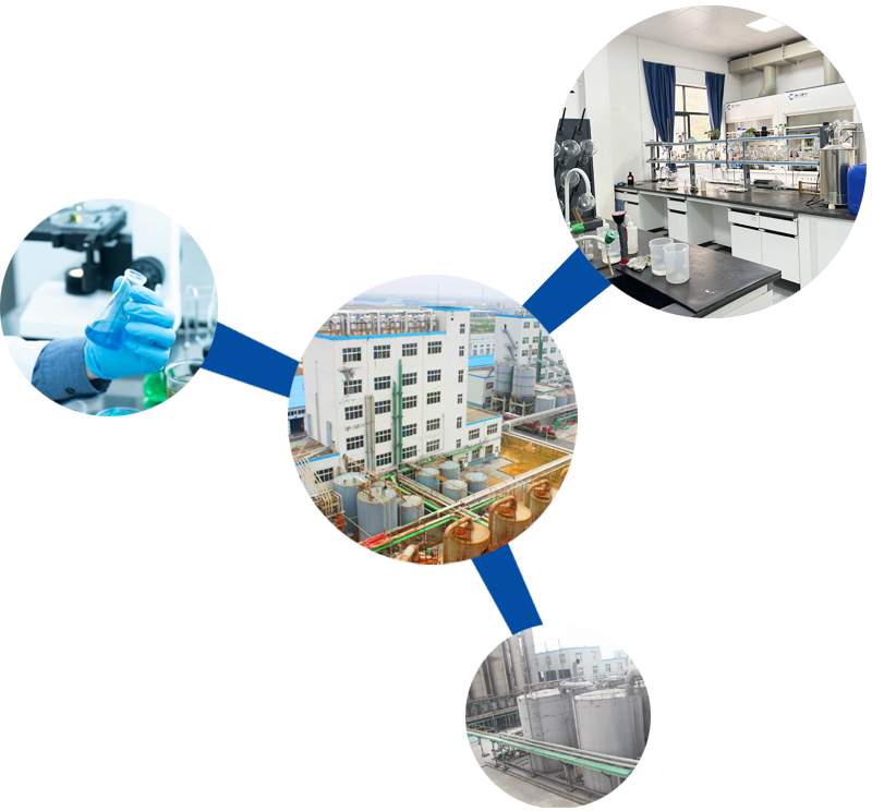 Weifang Haiye Chemistry And Industry Co.,Ltd